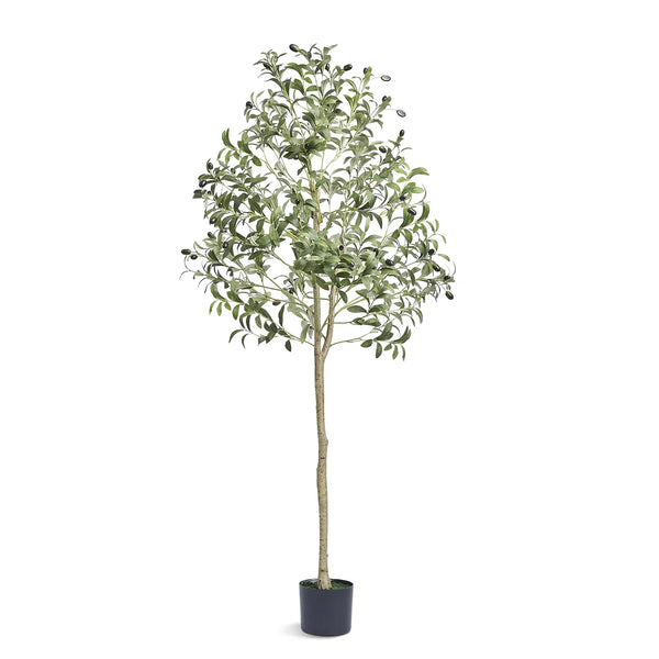 Product placeholder